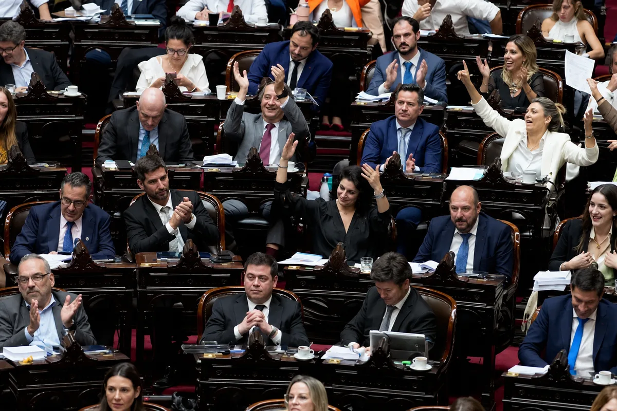Congress’ lower house is debating a bill promoted by Javier Milei (AP Photo/Natacha Pisarenko)